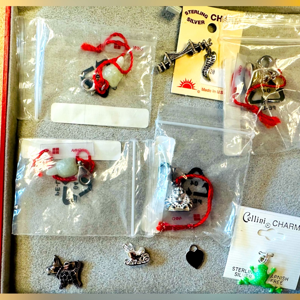 10 charms and silver charm bracelet- Never worn!